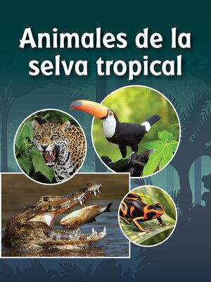 cover image of Animales de la selva tropical (Life in a Rainforest)